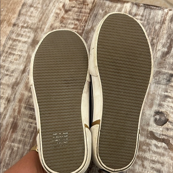 Sperry boys Dark Brown Sneakers - Picture 6 of 6